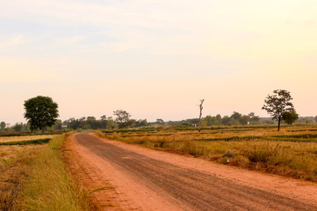 Rural Roadの写真素材