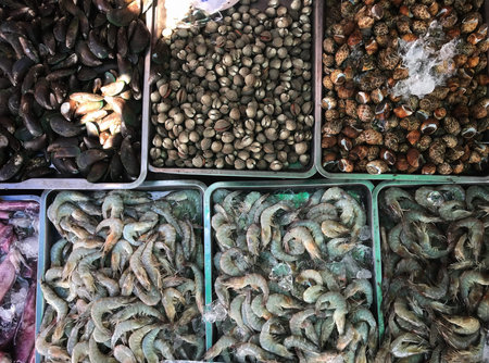Fresh shells on a hard tray, sold in the seafood market.