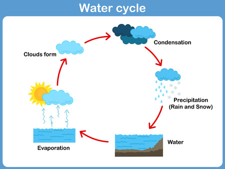 Vector Cycle of water for kidsのイラスト素材