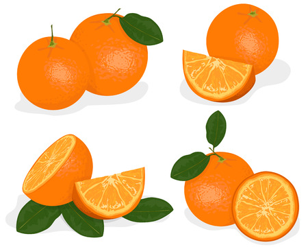 Orange fruit isolated on white backgroundのイラスト素材