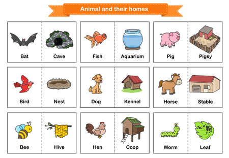 Animal and Their Homes Flash Cards. Printable flash card illustrating : bat, fish, pig, bird, nest, dog, horse, bee, hen, worm - Flashcards for education.