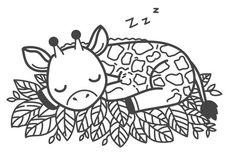 The giraffe sleeps contentedly, hugging a  leaves, its favorite food. Hand drawing vector illustration in black outline on a white background.のイラスト素材