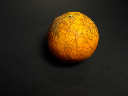 orangeの写真素材