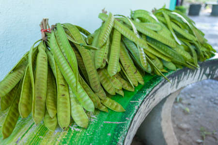 Green vegetablesの写真素材