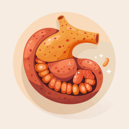 Human stomach anatomy. Vector illustration in cartoon style. Stomach anatomy.の素材