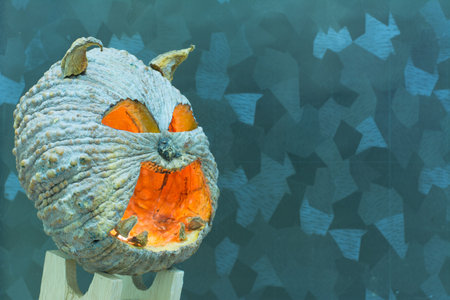 Halloween pumpkin with a light into the shadows.の写真素材