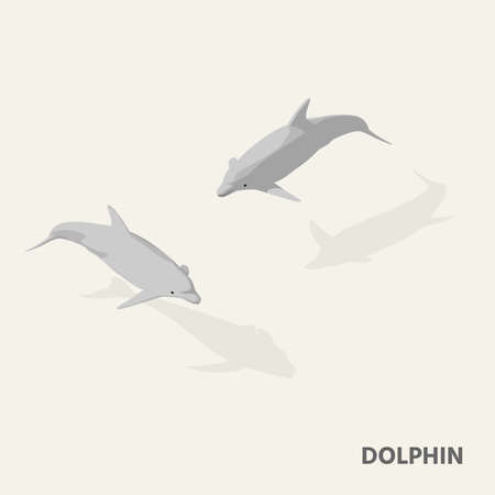 Dolphins in isometric view with shadow.のイラスト素材