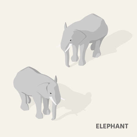 Elephants in isometric view with shadow.のイラスト素材