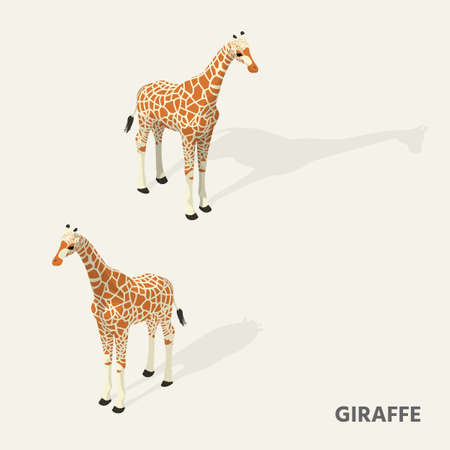 Giraffes in isometric view with shadow.のイラスト素材