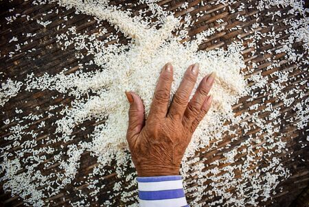 Close up Thai women holding jasmine rice in their hands. Health food products.の写真素材