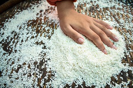 Close up Thai women holding jasmine rice in their hands. Health food products.の写真素材