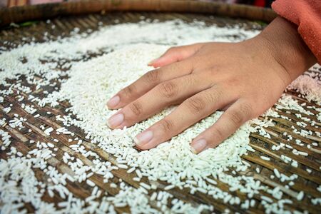 Close up Thai women holding jasmine rice in their hands. Health food products.の写真素材