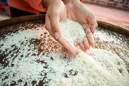 Close up Thai women holding jasmine rice in their hands. Health food products.の写真素材