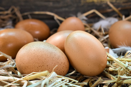 Many eggs in the nest are made from straw. Food obtained from chickens on farms. Healthy products...