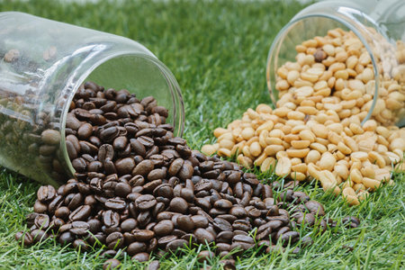 Bottles of coffee beanの写真素材