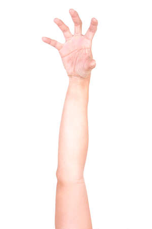 Male Caucasian hand gestures isolated over the white background. ZOBIES HAND.の写真素材