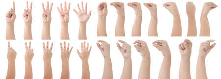 Group of Kid Hand Isolated on White Background : Hand Counts from one to five, Grab hand, Snake pose.の写真素材