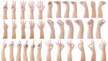 Group of Kid Hand Isolated on White Background : Hand Counts from one to five, Grab hand, Snake pose, pointing, OK pose.の写真素材