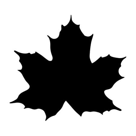 Vector of a silhouette maple tree leafのイラスト素材