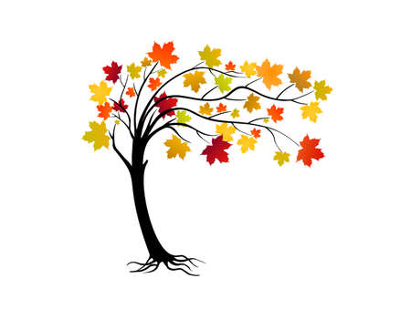 Vector of a maple tree with colorful leavesのイラスト素材