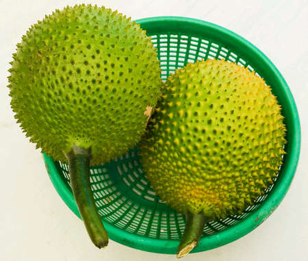 Green Gac Friut, a Southeast Asian fruit  Also known as Baby Jackruit  Become red when it is ripe の素材