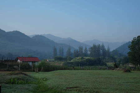 house and green field in country outside of thailandの写真素材