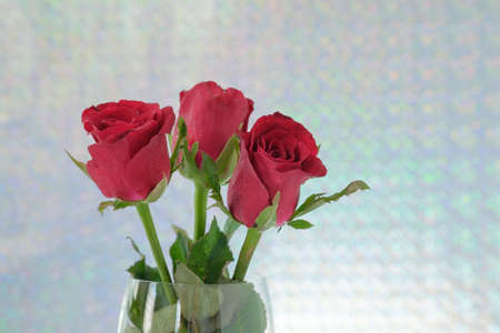 red roses in vase white  backgroundの写真素材