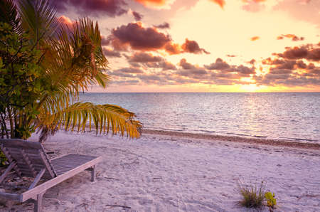 Empty chair in the tropical beach in the Maldives at sunsetの写真素材