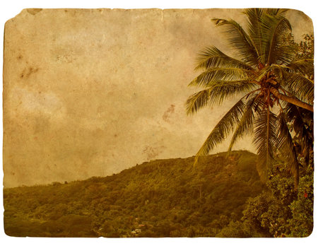 Tropical mountains and palm tree. Old postcard. Isolated on white backgroundの写真素材
