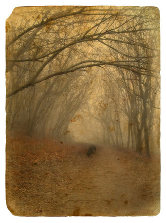 Foggy landscape. Old postcard, design in grunge and retro style