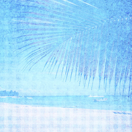 Tropical beach. の写真素材