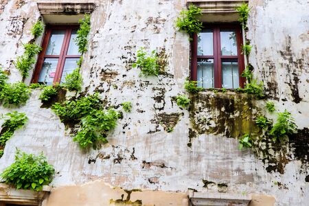 Old wall with window detail of an old building in ruins