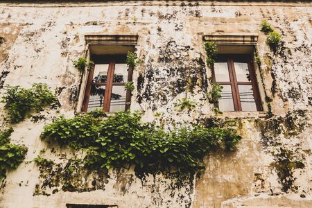 Old wall with window detail of an old building in ruinsの写真素材