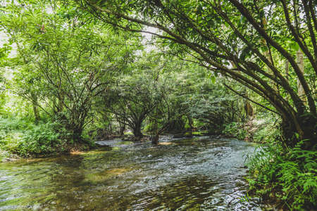 View of the canal from a hiking trail with reflectionss of trees and shrubberyの写真素材