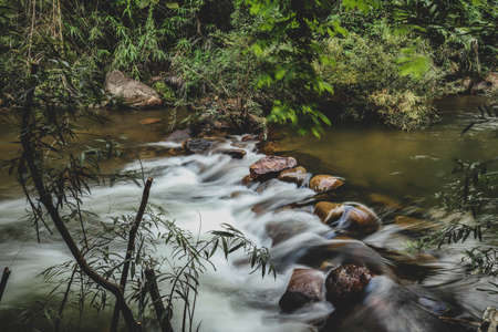 Watercourse in natural with water and rocks.