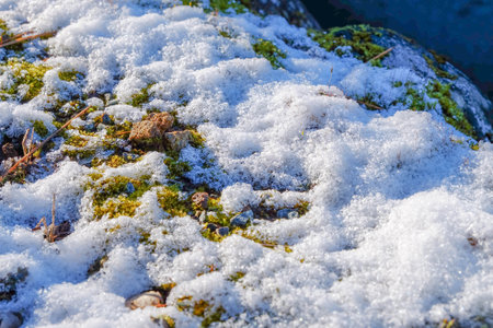 Ice crystals on grass, Winter ice and water frozen abstract natural beauty, Grass covered with frozen snowの写真素材