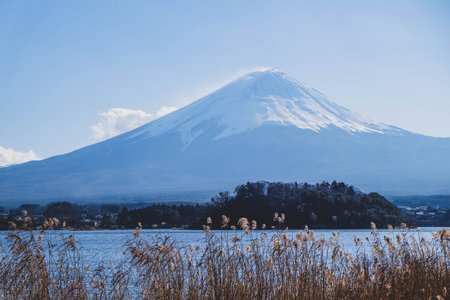 Beautiful scenery of moutain Fuji and cherry blossoms