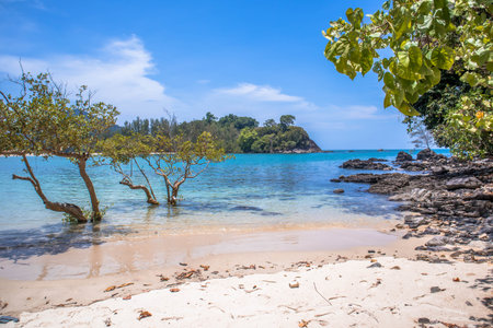 Landscape summer view tropical sea beach rock blue sky white sand background calm Nature oceanの写真素材