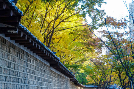 Various spring scenery around Deoksugung doldamgil Wall: Seoul Jung-gu Deoksugung KOREAの写真素材