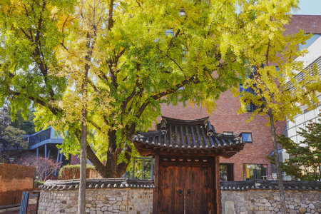 Korean traditional door and stone wall of roof tiled house