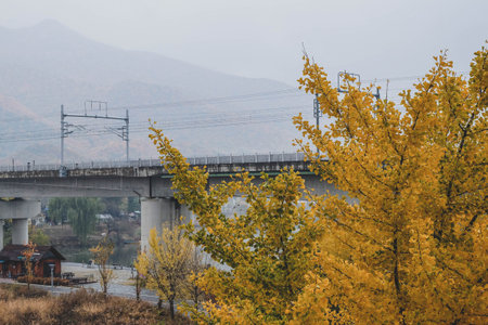 A landscape view of a Lake be colored by Autumn Fall Mapleの写真素材