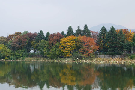 Lake fog sunrise with Autumn foliage and mountainsの写真素材