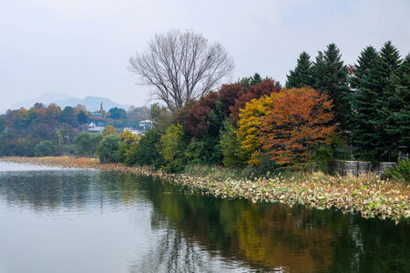 Lake fog sunrise with Autumn foliage and mountainsの写真素材