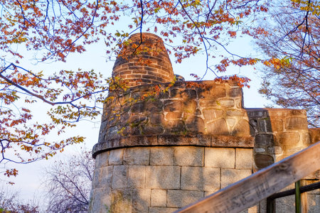 Yellow maple tree and leaf with korea traditional wall