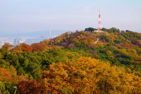 Yellow And Red Autumn Maple Leaves At Namsan Mountain In Seoul,South Korea.の写真素材