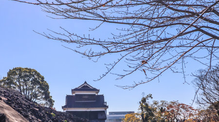 Kumamoto Castle Standing Tall Under a Clear Blue Sky