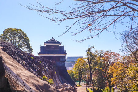Kumamoto Castle Standing Tall Under a Clear Blue Sky
