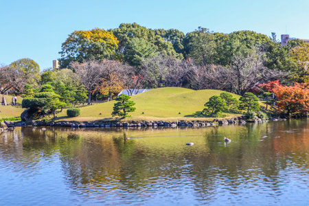 A view of a Japanese garden on a clear autumn day.の写真素材