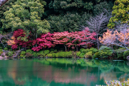 The garden in Umi Jigoku or sea hell featuring a pond with blue hot stream water. One of the eight hell springs where have many tourist visiting everyday.の写真素材