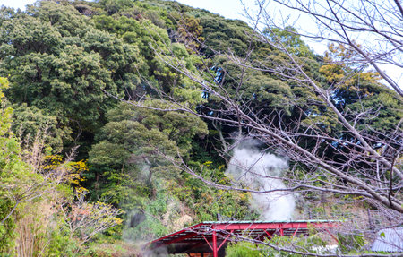 Scenic Steam Rising from Outdoor Onsen Amid Nature